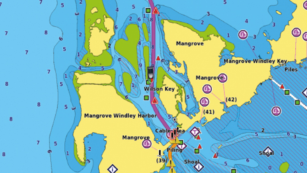 Garmin Navionics +